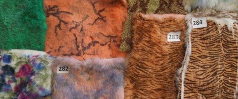 collection 10 Stampe fantasia 01 su pelo