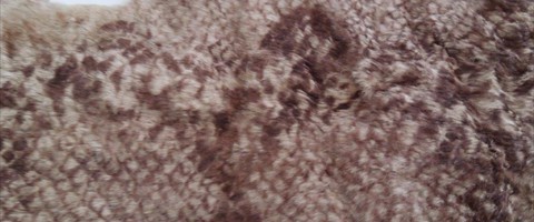 collection 10 Stampe fantasia 276