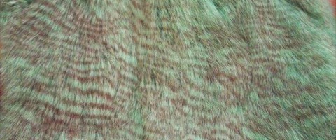 collection 10 Stampe fantasia 278