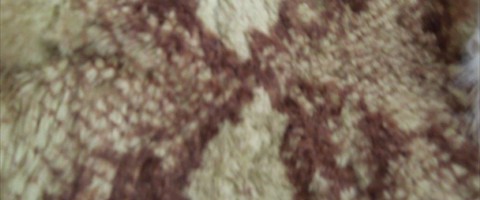 collection 10 Stampe fantasia 280