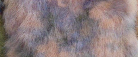 collection 10 Stampe fantasia 282