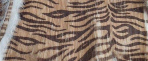 collection 10 Stampe fantasia 284