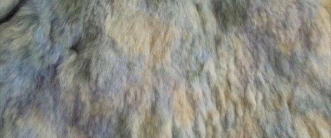collection 10 Stampe fantasia 291