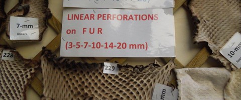 collection 11 Traforazione lineare 01 di pelli con pelo