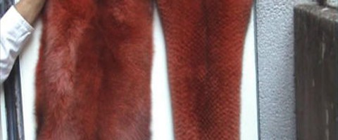 collection 11 Traforazione lineare 55