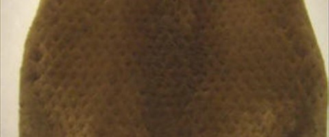 collection 12 Traforazione tricot a V 10