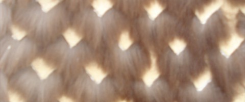 collection 12 Traforazione tricot a V 14 mm cut 10