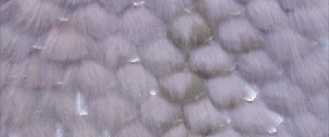 collection 12 Traforazione tricot a V 14 mm cut 11