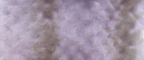 collection 12 Traforazione tricot a V 14 mm cut 12