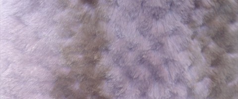 collection 12 Traforazione tricot a V 14 mm cut 13