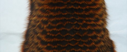 collection 12 Traforazione tricot a V 20 mm cut 2