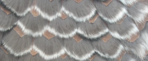 collection 12 Traforazione tricot a V 20 mm cut 5
