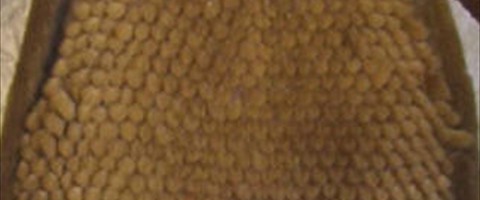 collection 12 Traforazione tricot a V 21