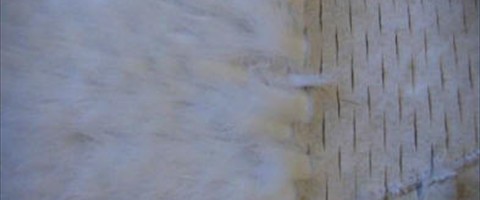 collection 12 Traforazione tricot a V 38