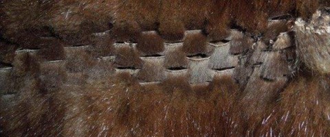 collection 13 Traforazione scolpita 67