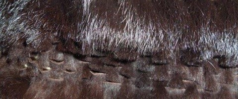 collection 13 Traforazione scolpita 71
