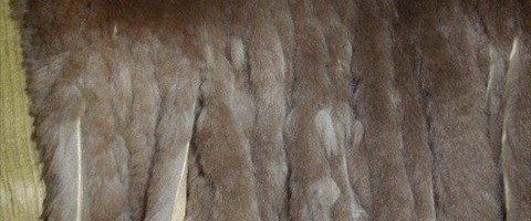 collection 5 Filettature e frange 131