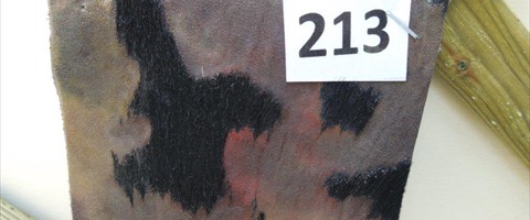 collection 6 Incisioni disegnate 213