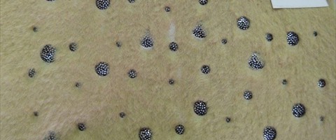 collection 7 Laminature e glitter 240
