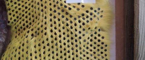 collection 8 Paillettes 296