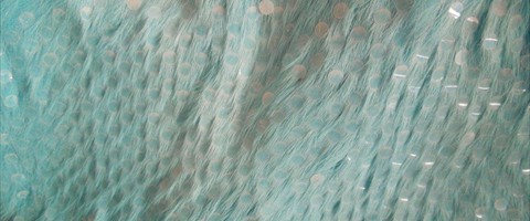 collection 8 Paillettes 305